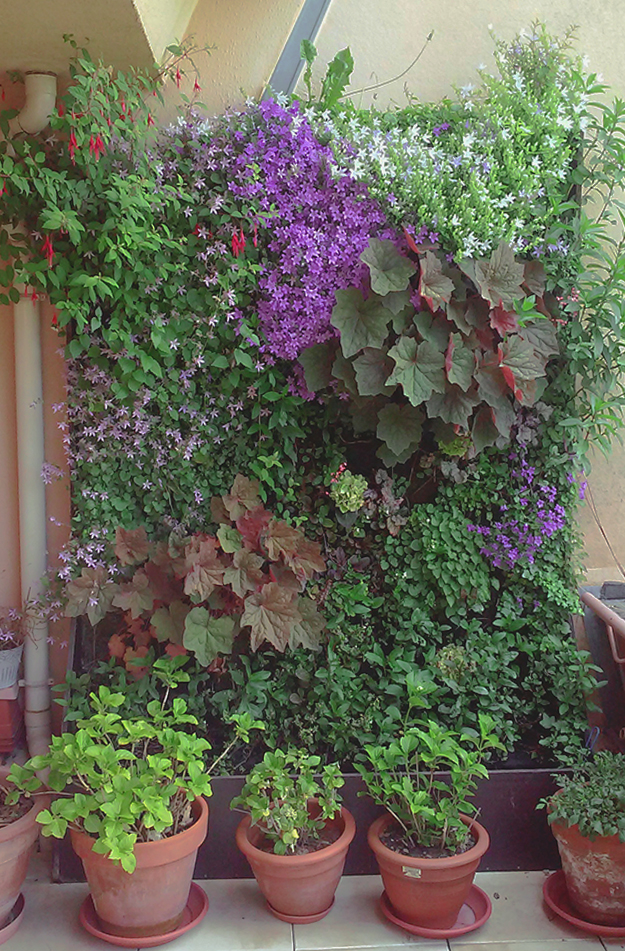 Mur végétal sur une terrasse à Nantes