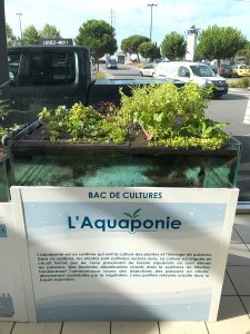 Bac de culture d'aquaponie La Montagne Bouguenais