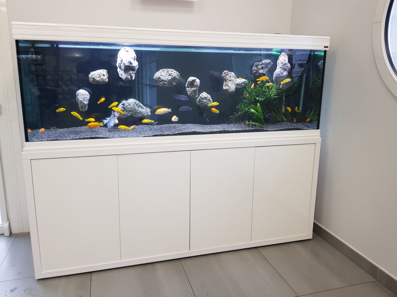 Aquarium avec roches flottantes, Clinique Vétérinaire de l_Arche à Saint Herblain