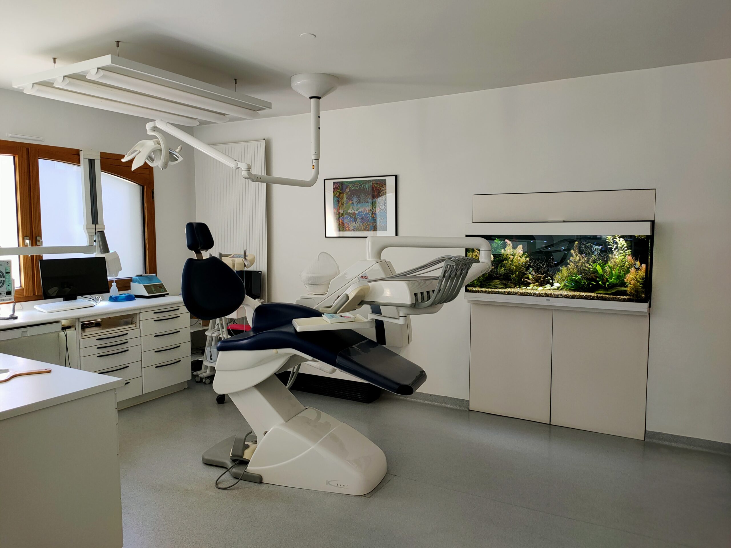 Aquarium incorporé dans un mur, chez une dentiste à Nantes