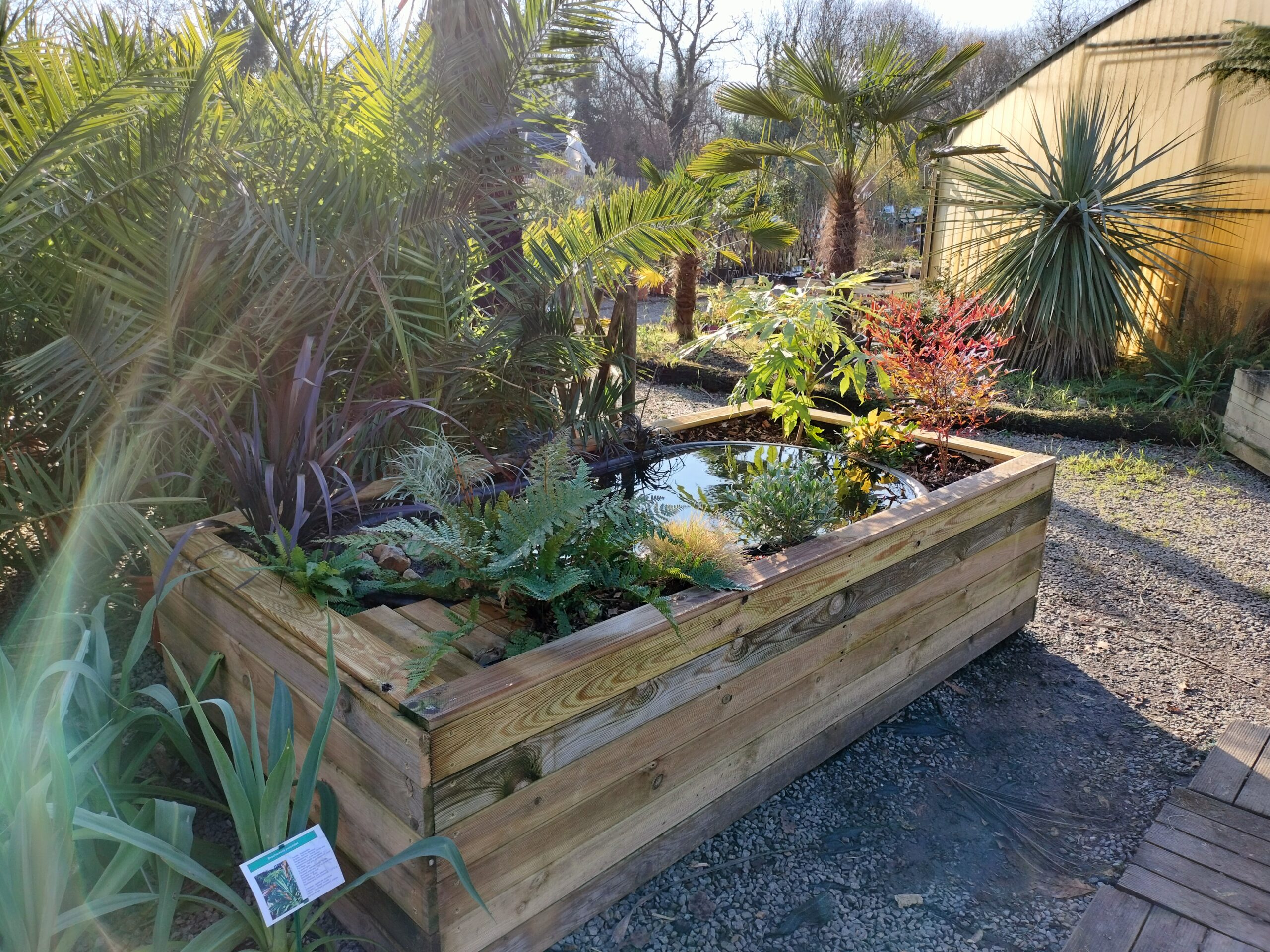 Oasis de Biodiversité à la Maison du Bananier à Couëron