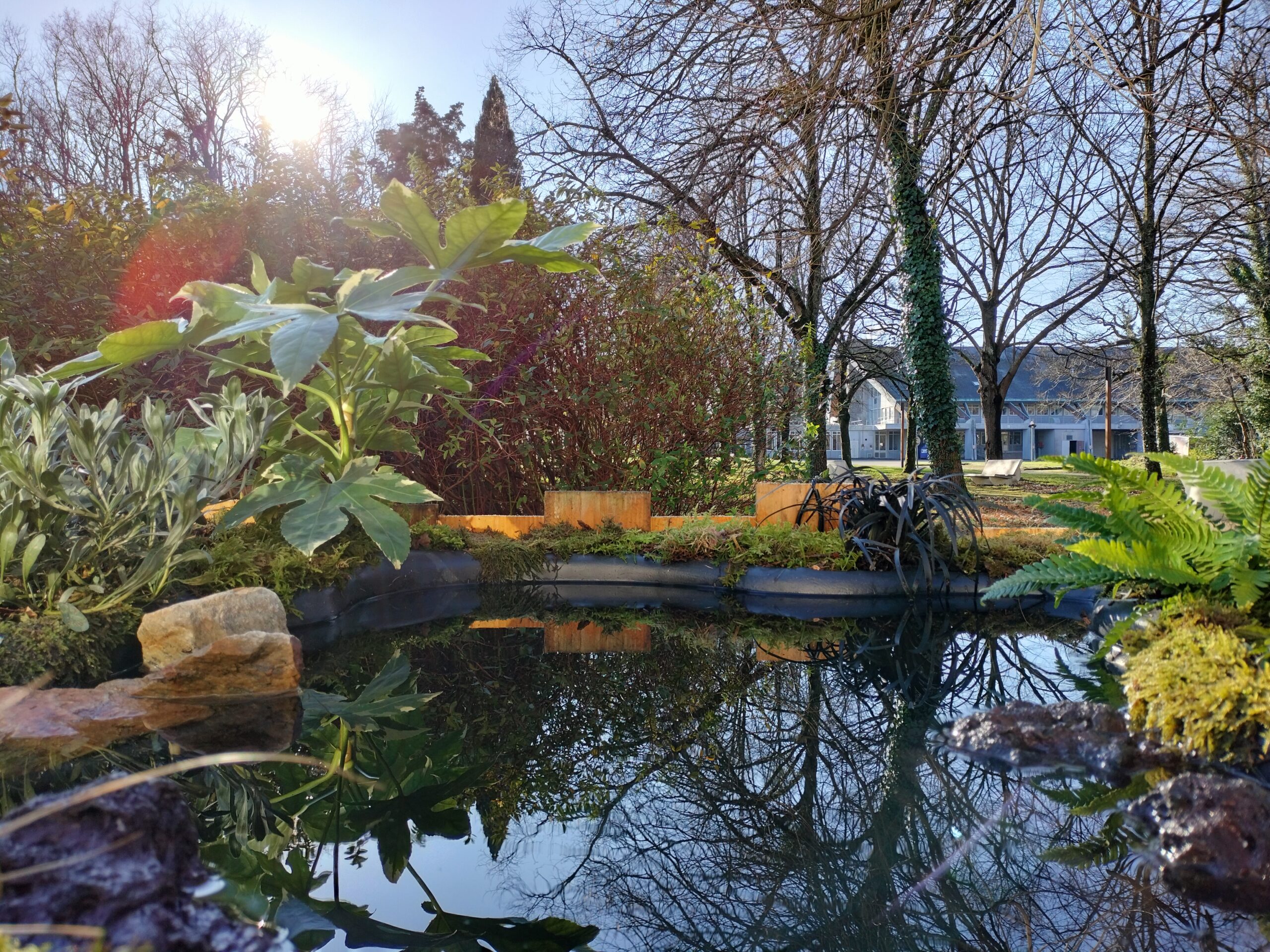 Oasis de Biodiversité à St Etienne de Montluc