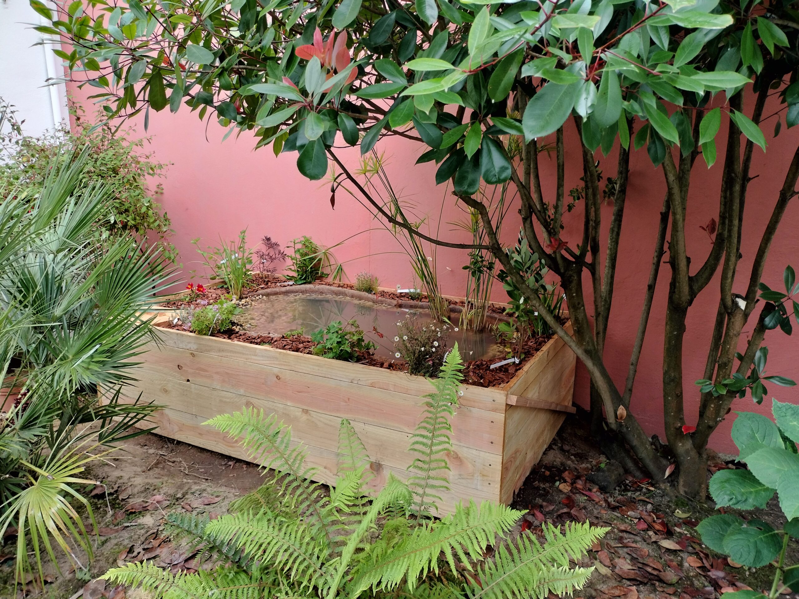 Oasis de Biodiversité à la Maison du Bananier à Couëron