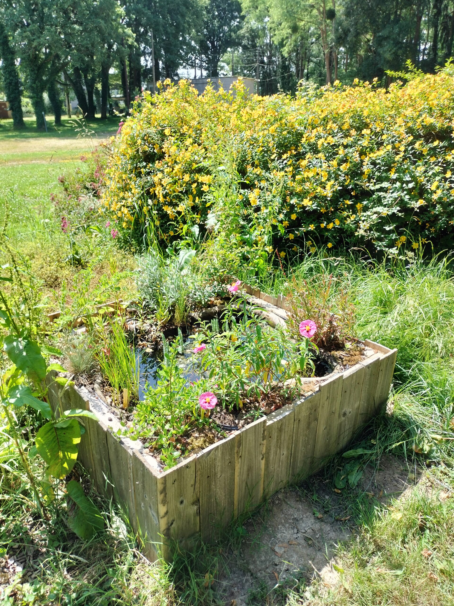 Oasis de Biodiversité à St Etienne de Montluc