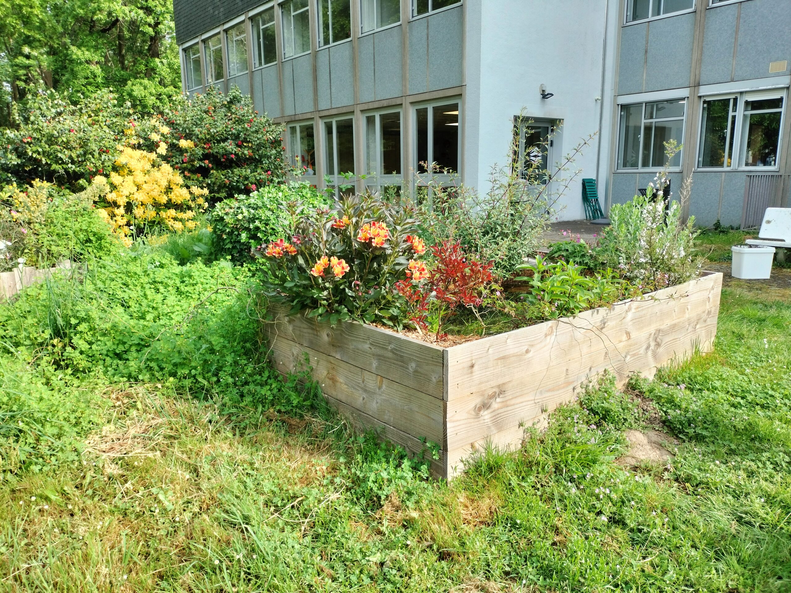 Oasis-de-Biodiversite-à-Lincubacteur-de-Saint-Etienne-de-Montluc