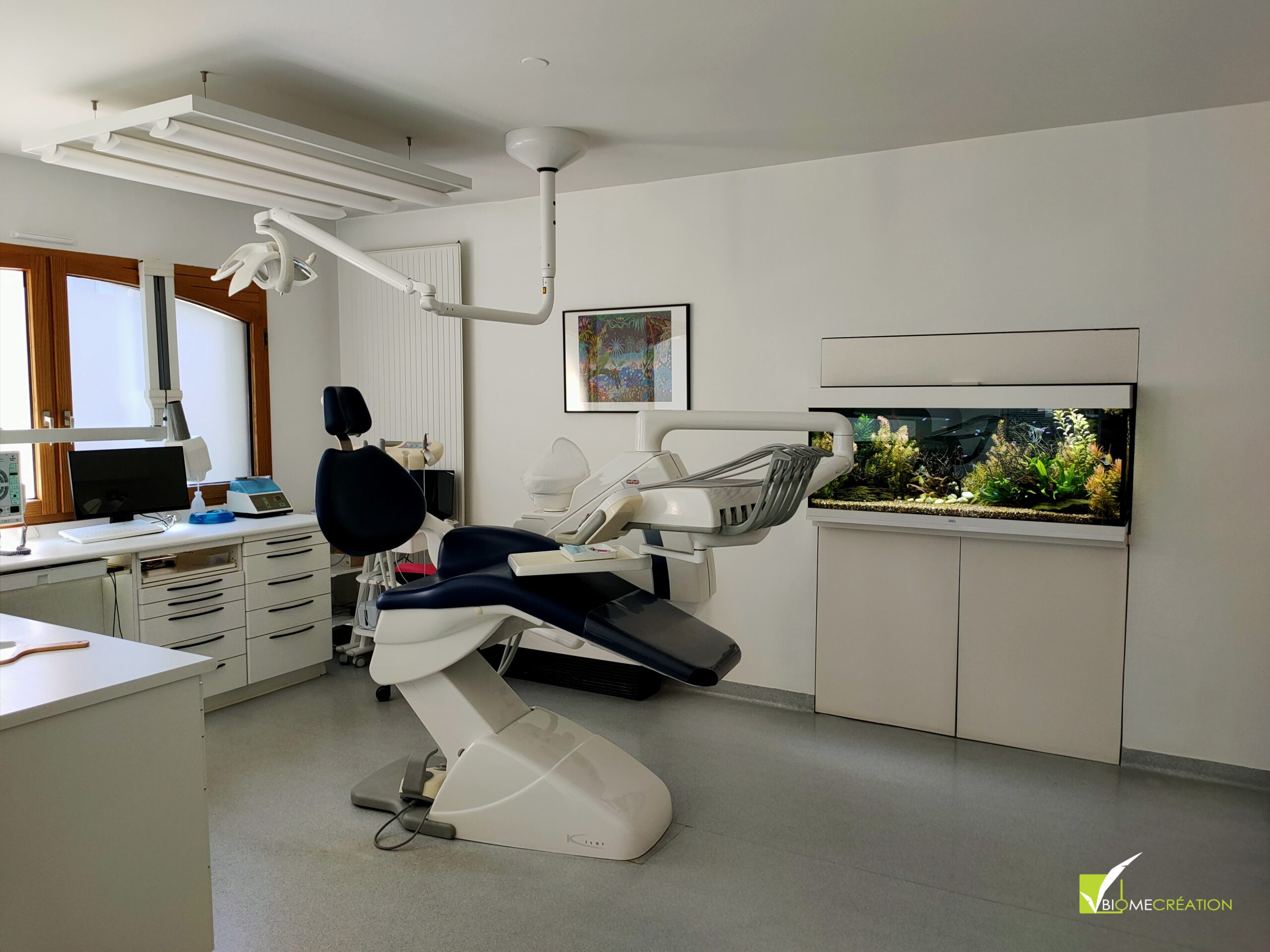 Réalisation aquarium