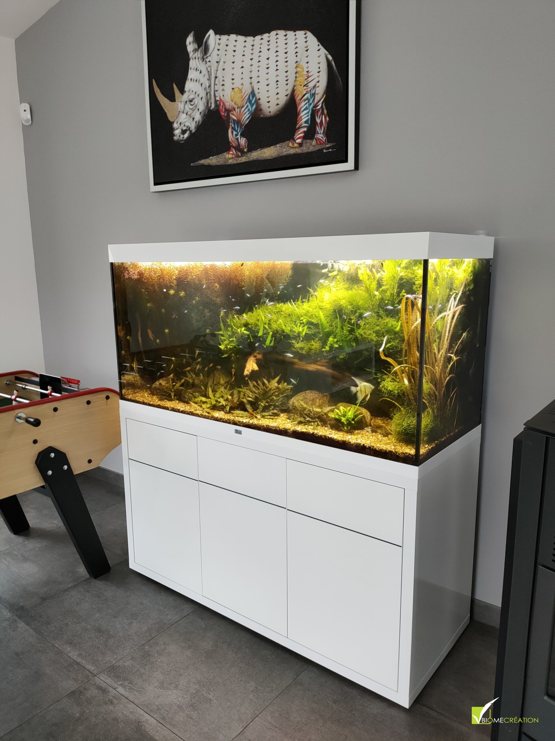 Réalisation aquarium